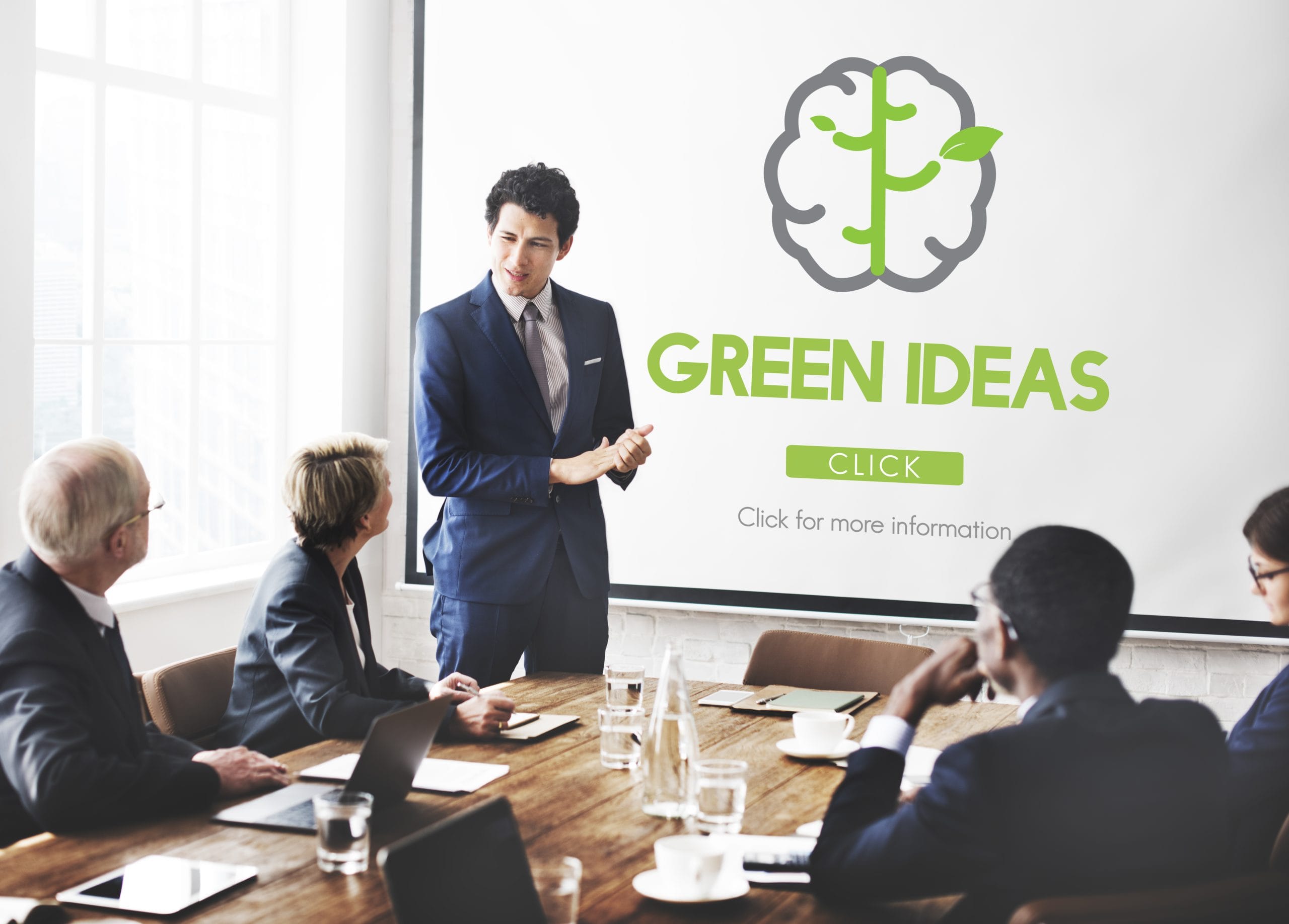 Greenwashing no Mercado Financeiro