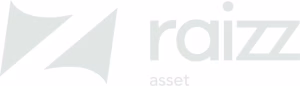 Raizz Asset